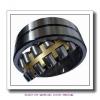 100 mm x 180 mm x 55 mm  SNR 10X22220EAW33EE Double row spherical roller bearings