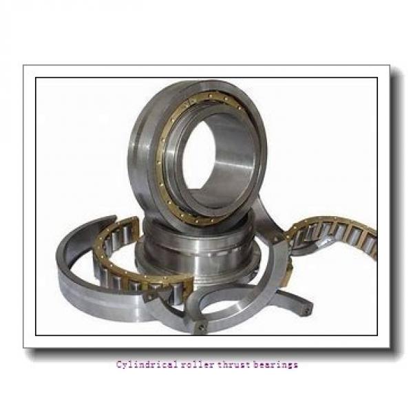 30 mm x 52 mm x 4.25 mm  skf 81206 TN Cylindrical roller thrust bearings #2 image